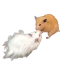 😘 Эмодзи «Hampter» для Telegram