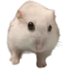 🐹 Эмодзи «Hampter» для Telegram