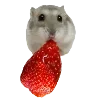 🐹 Эмодзи «Hampter» для Telegram