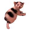 🐈 Эмодзи «Hampter» для Telegram
