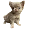 🐾 Эмодзи «Hampter» для Telegram