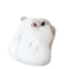 🐹 Эмодзи «Hampter» для Telegram