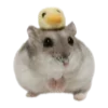 🐹 Эмодзи «Hampter» для Telegram