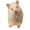 🐹 Эмодзи «Hampter» для Telegram