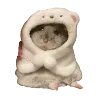 🧊 Эмодзи «Hampter» для Telegram