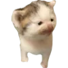 🐈 Эмодзи «Hampter» для Telegram
