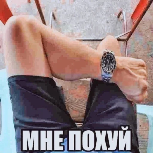 🤩 Стикер «Смешные картинки кохи» для Telegram