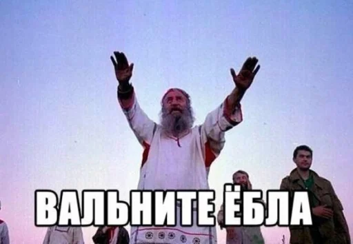🤩 Стикер «Смешные картинки кохи» для Telegram