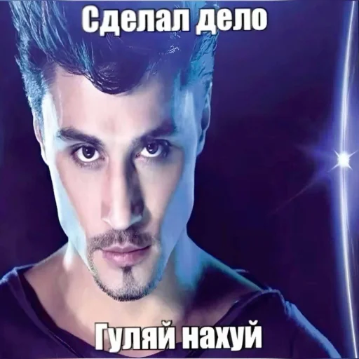 🤩 Стикер «Смешные картинки кохи» для Telegram