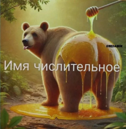 🤩 Стикер «Смешные картинки кохи» для Telegram