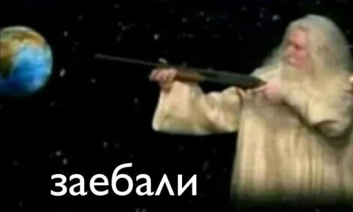 🤩 Стикер «Смешные картинки кохи» для Telegram