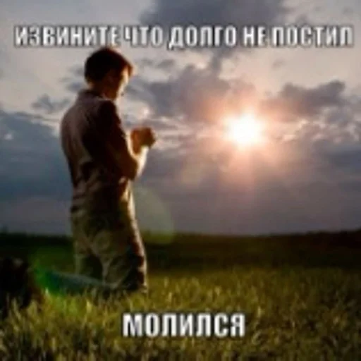 🤩 Стикер «Смешные картинки кохи» для Telegram