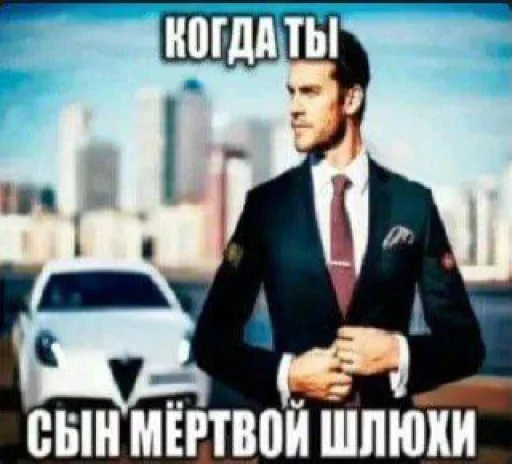 🤩 Стикер «Смешные картинки кохи» для Telegram