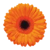 🌺 Эмодзи «smile my love» для Telegram