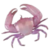 🦀 Эмодзи «летний вайб» для Telegram