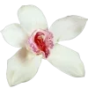 🌸 Эмодзи «летний вайб» для Telegram