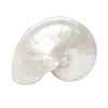 🐚 Эмодзи «летний вайб» для Telegram