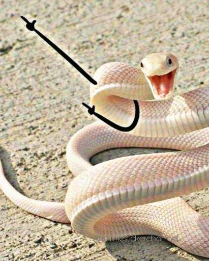 Стикерпак SNAKES для Telegram — скачать