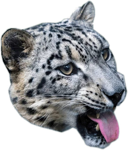 😛 Стикер «Snep Lep Blep» для Telegram