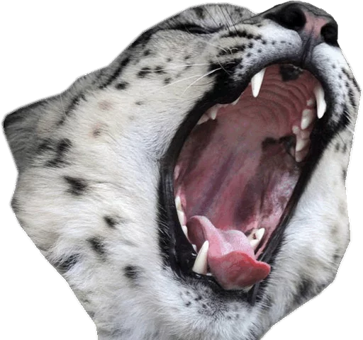 😲 Стикер «Snep Lep Blep» для Telegram