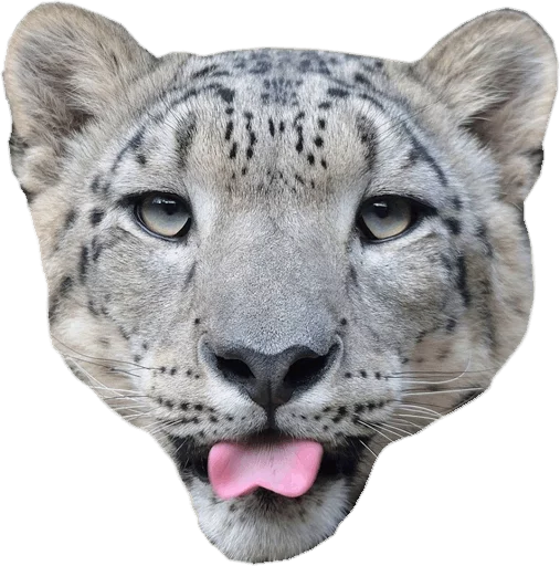 😛 Стикер «Snep Lep Blep» для Telegram