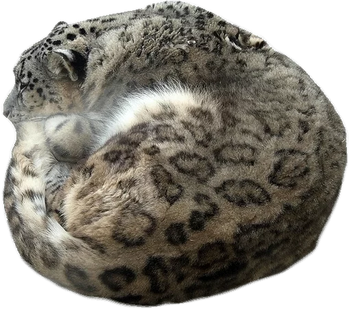 😴 Стикер «Snep Lep Blep» для Telegram