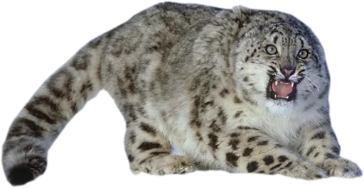 😫 Стикер «Snep Lep Blep» для Telegram
