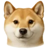 🤩 Эмодзи «Собачьи Морды» для Telegram