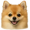 🤩 Эмодзи «Собачьи Морды» для Telegram