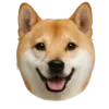 🤩 Эмодзи «Собачьи Морды» для Telegram