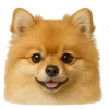 🤩 Эмодзи «Собачьи Морды» для Telegram