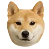 🤩 Эмодзи «Собачьи Морды» для Telegram