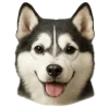 🤩 Эмодзи «Собачьи Морды» для Telegram