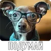 🤩 Эмодзи «Собакены» для Telegram