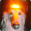🤩 Эмодзи «Собакены» для Telegram