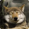 🤩 Эмодзи «Собакены» для Telegram