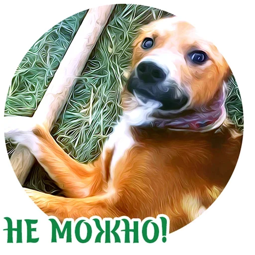 Стикерпак Puppy для Telegram — скачать