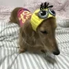 🤩 Эмодзи «Собак» для Telegram