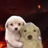 🤩 Эмодзи «Собак» для Telegram