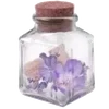 🌟 Эмодзи «S𑄈Ft ഒ» для Telegram