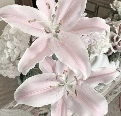 🌸 Стикер «s0f-tik tg !¡» для Telegram