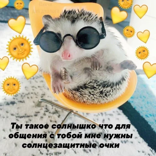 🌞 Стикер «Солнышки» для Telegram