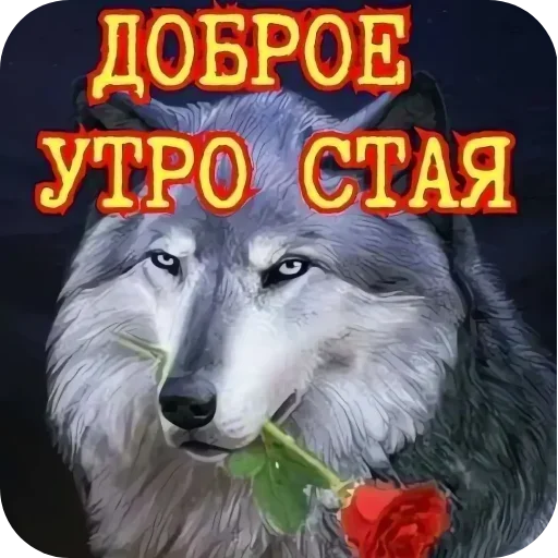 🖼 Стикер «Солянка» для Telegram