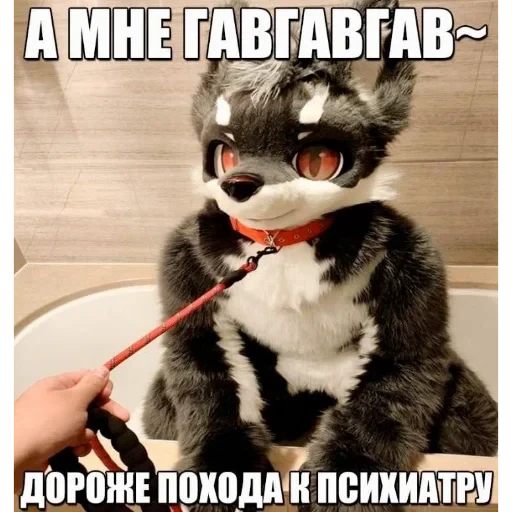🥰 Стикер «Солянка» для Telegram