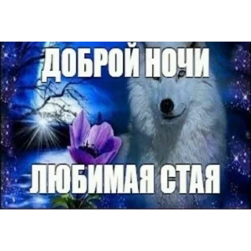 🥰 Стикер «Солянка» для Telegram