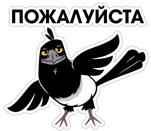 🙂 Стикер «Сорока Глафира» для Telegram