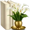 🤩 Эмодзи «Books» для Telegram