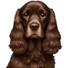 🐶 Эмодзи «Books» для Telegram