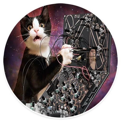 Стикерпак Space Cats для Telegram — скачать