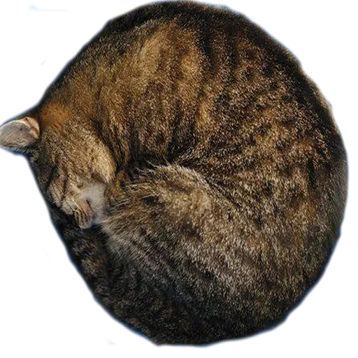 🤬 Стикер «Sleepy» для Telegram